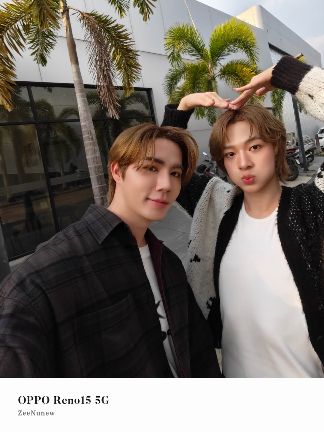 ซี - พฤกษ์ พานิช