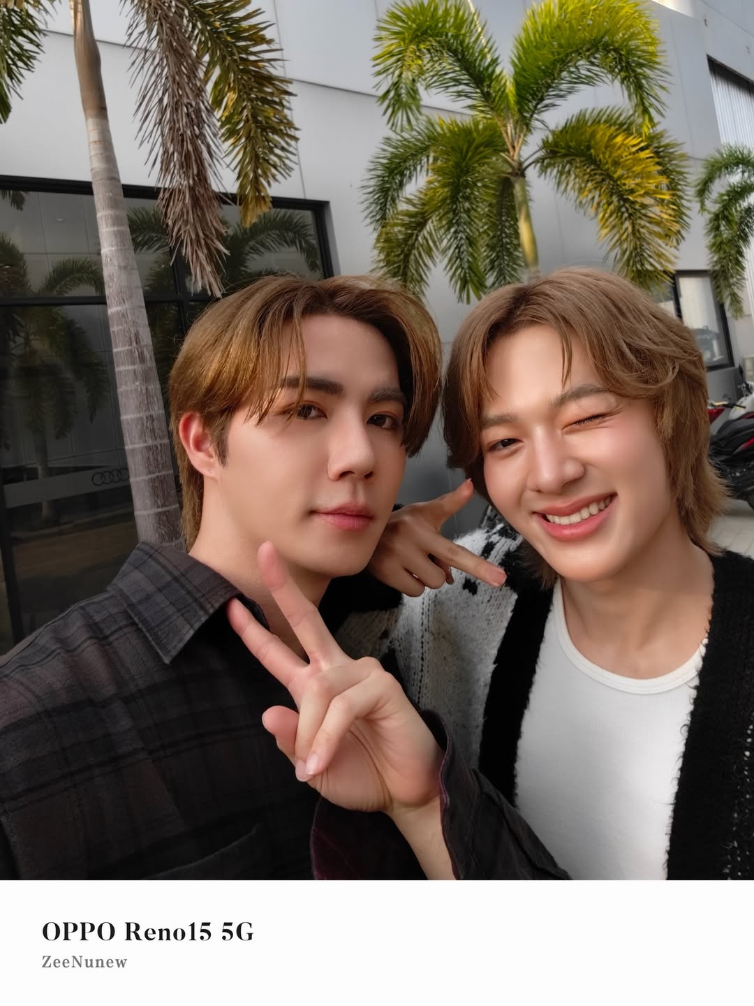 ซี - พฤกษ์ พานิช