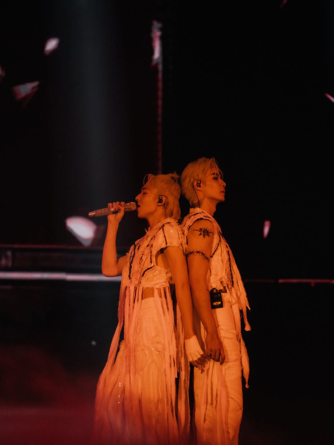 ซี - พฤกษ์ พานิช