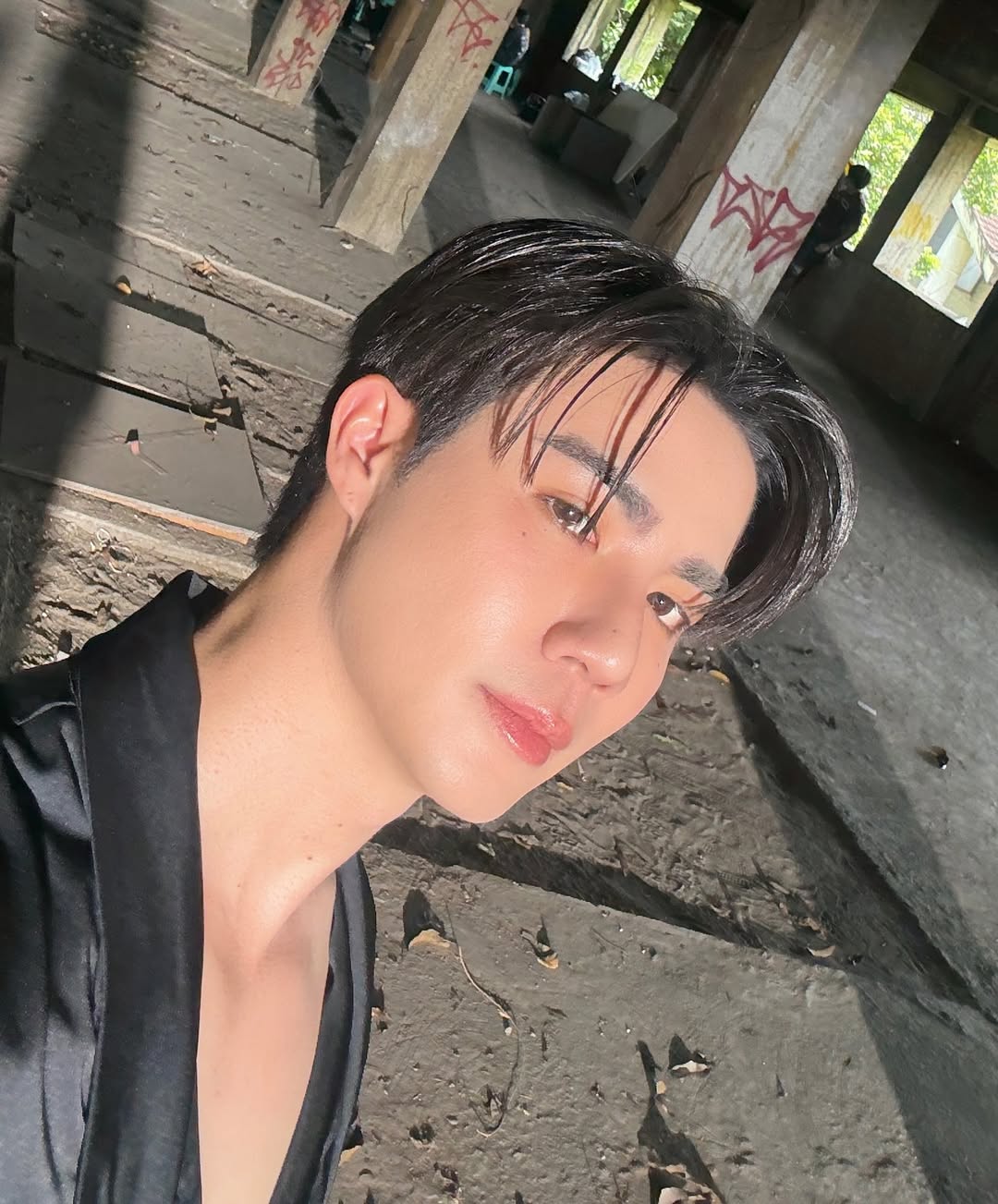 ซี - พฤกษ์ พานิช