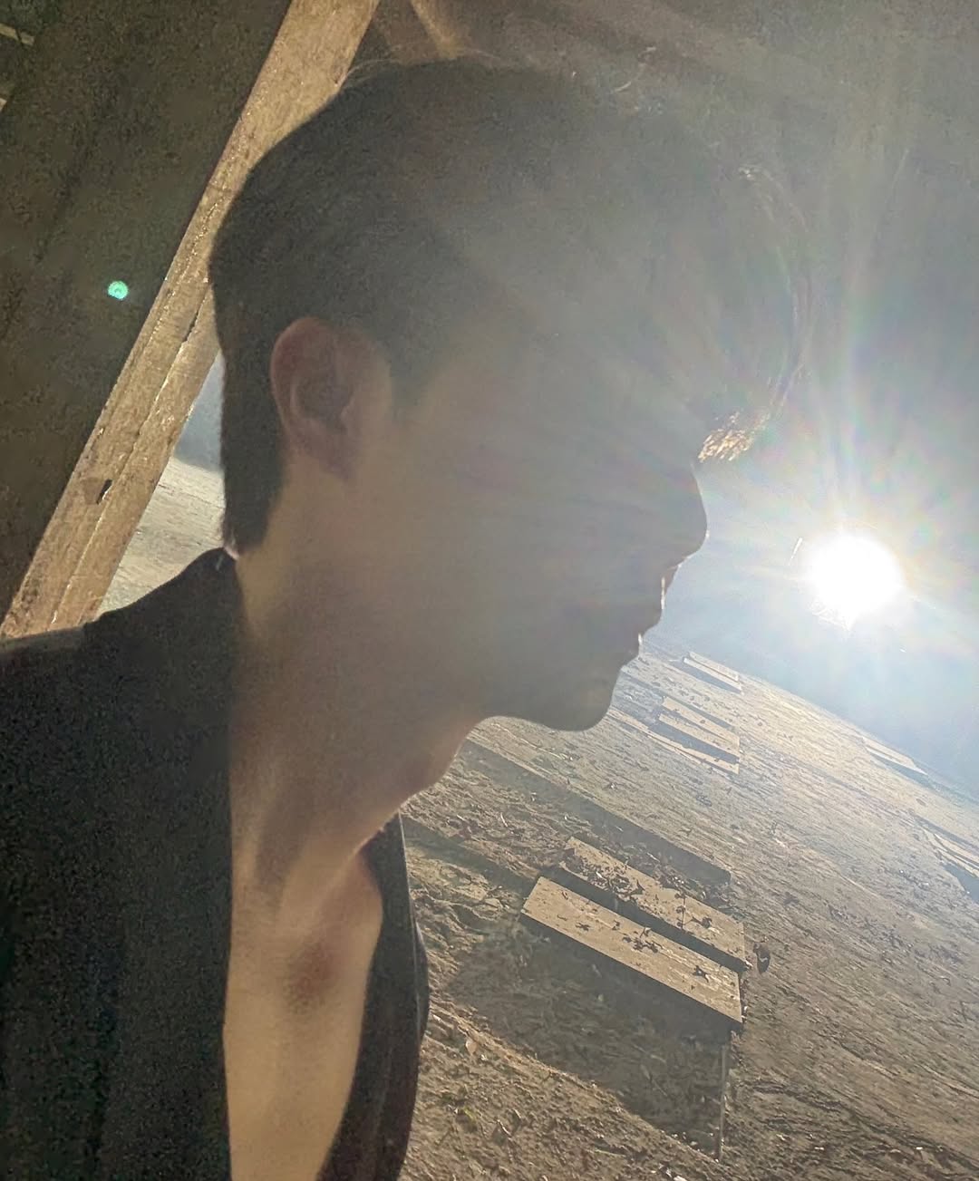 ซี - พฤกษ์ พานิช