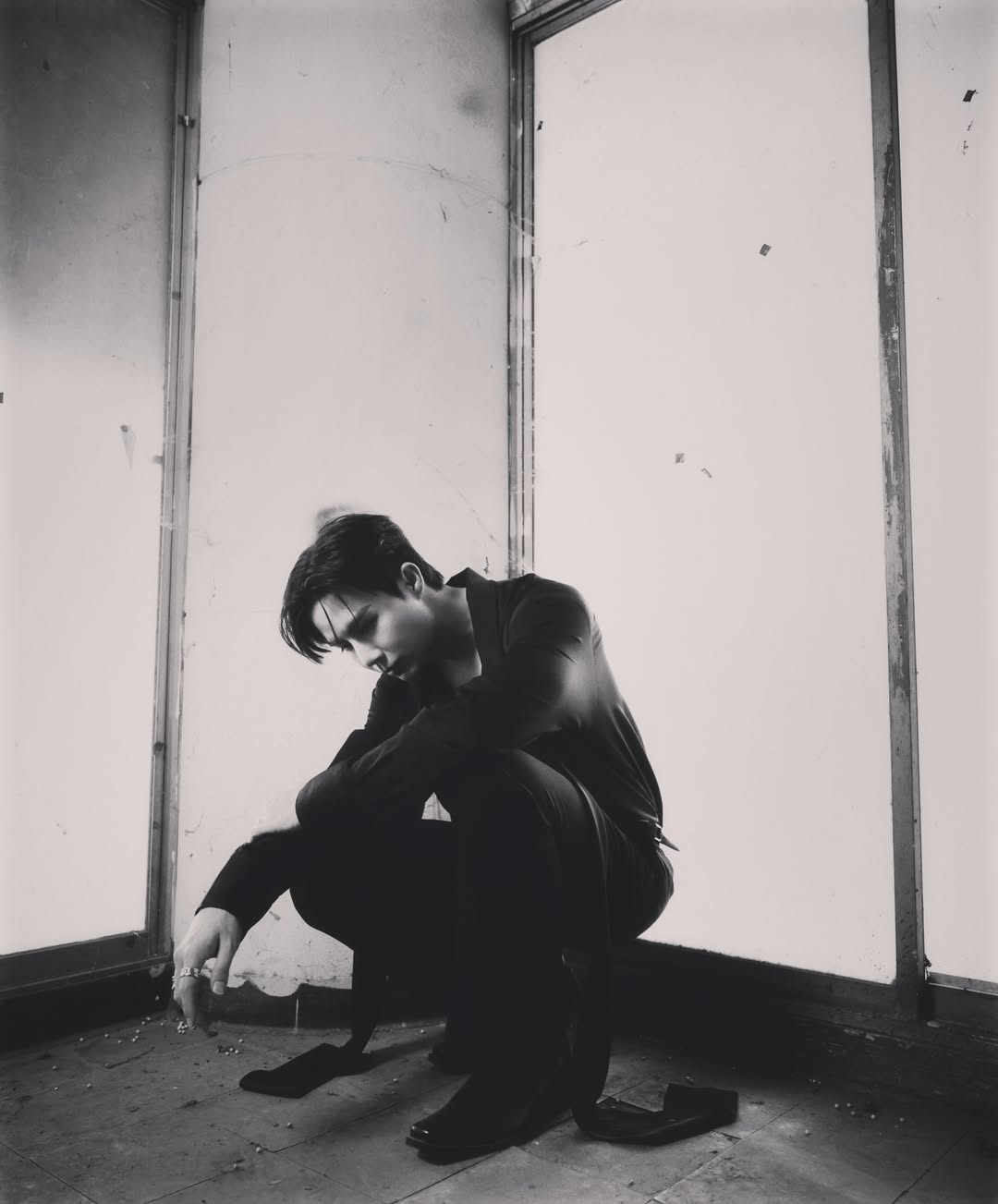 ซี - พฤกษ์ พานิช