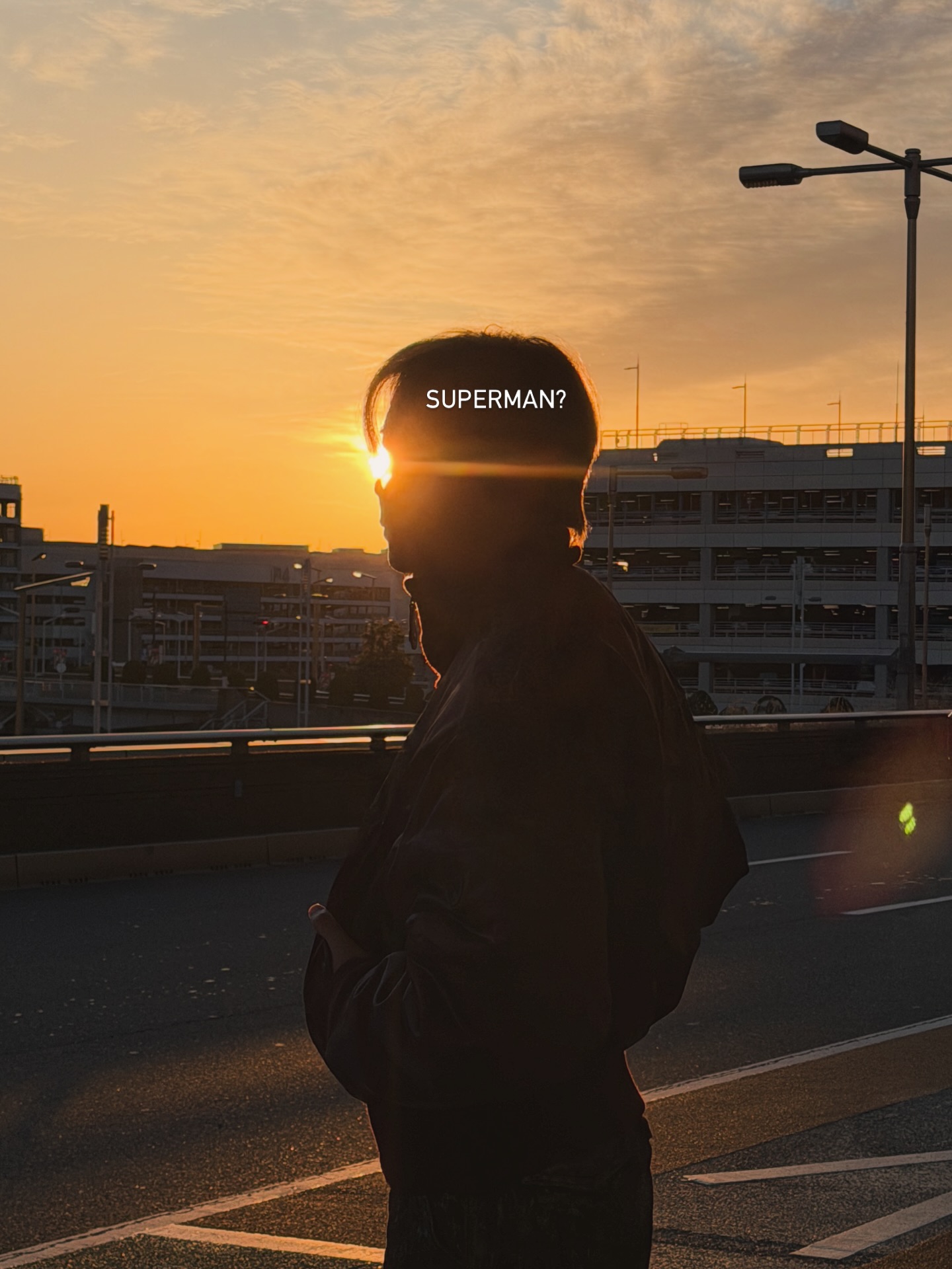 ซี - พฤกษ์ พานิช