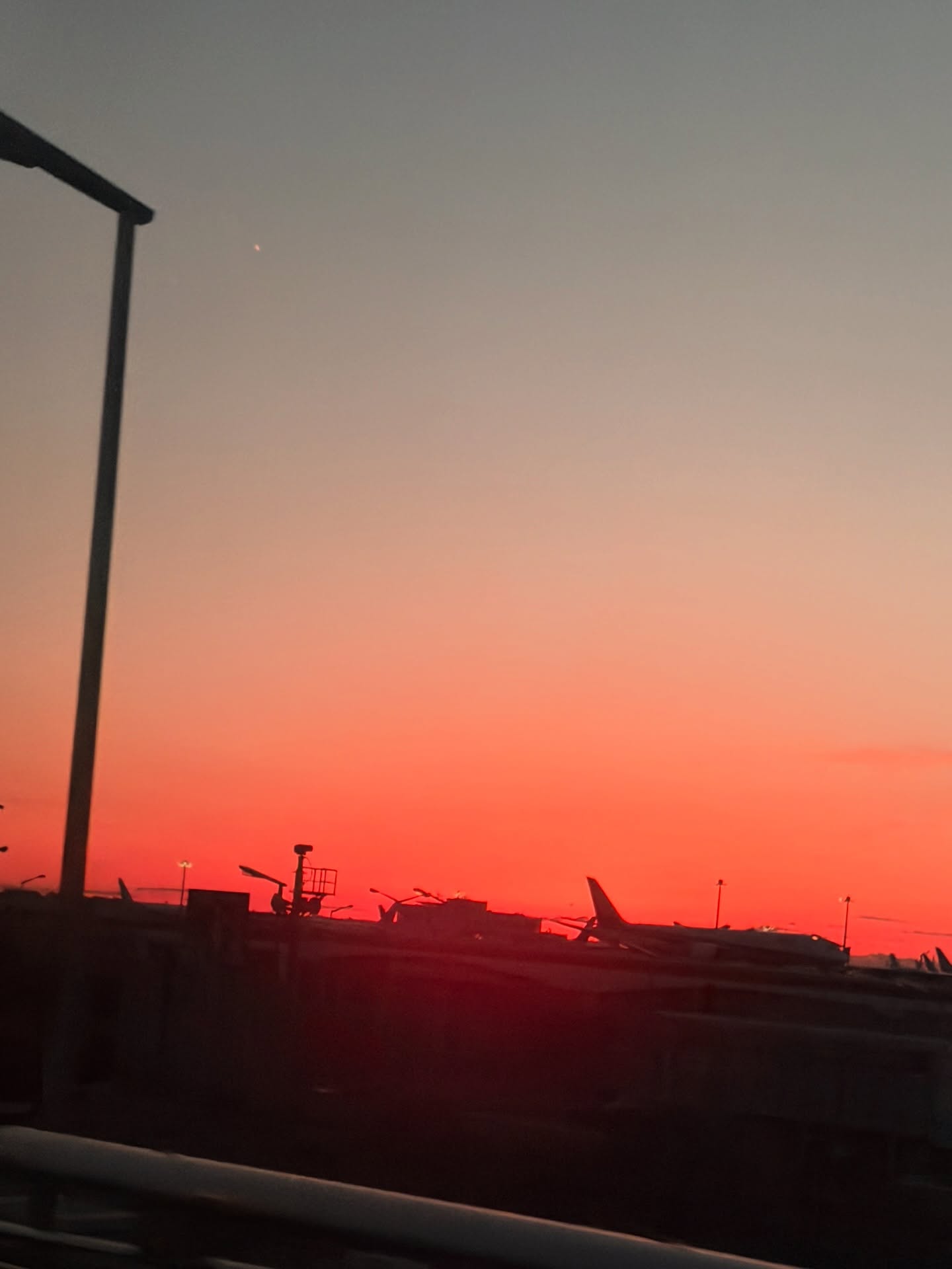 ซี - พฤกษ์ พานิช