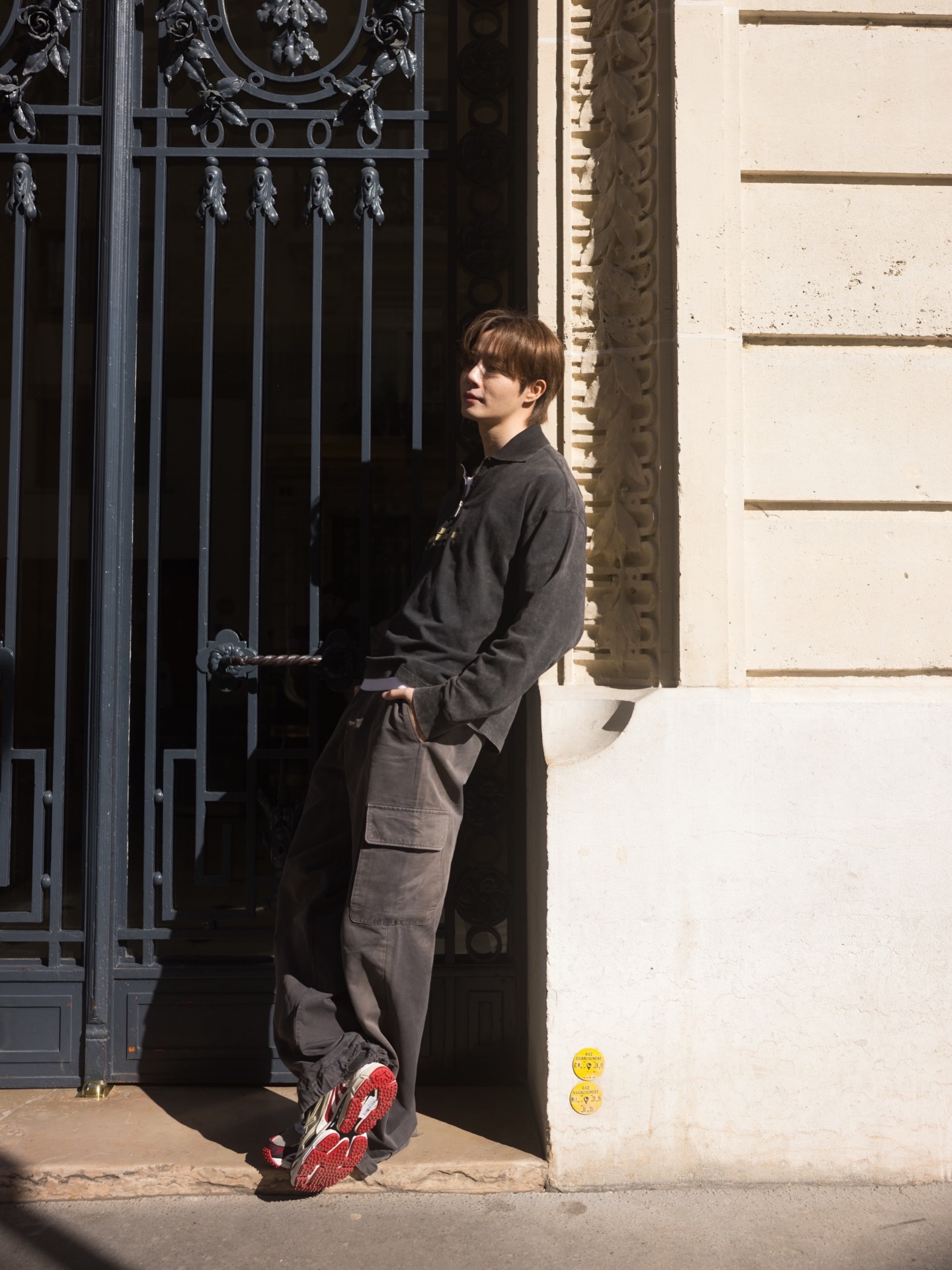 ซี - พฤกษ์ พานิช