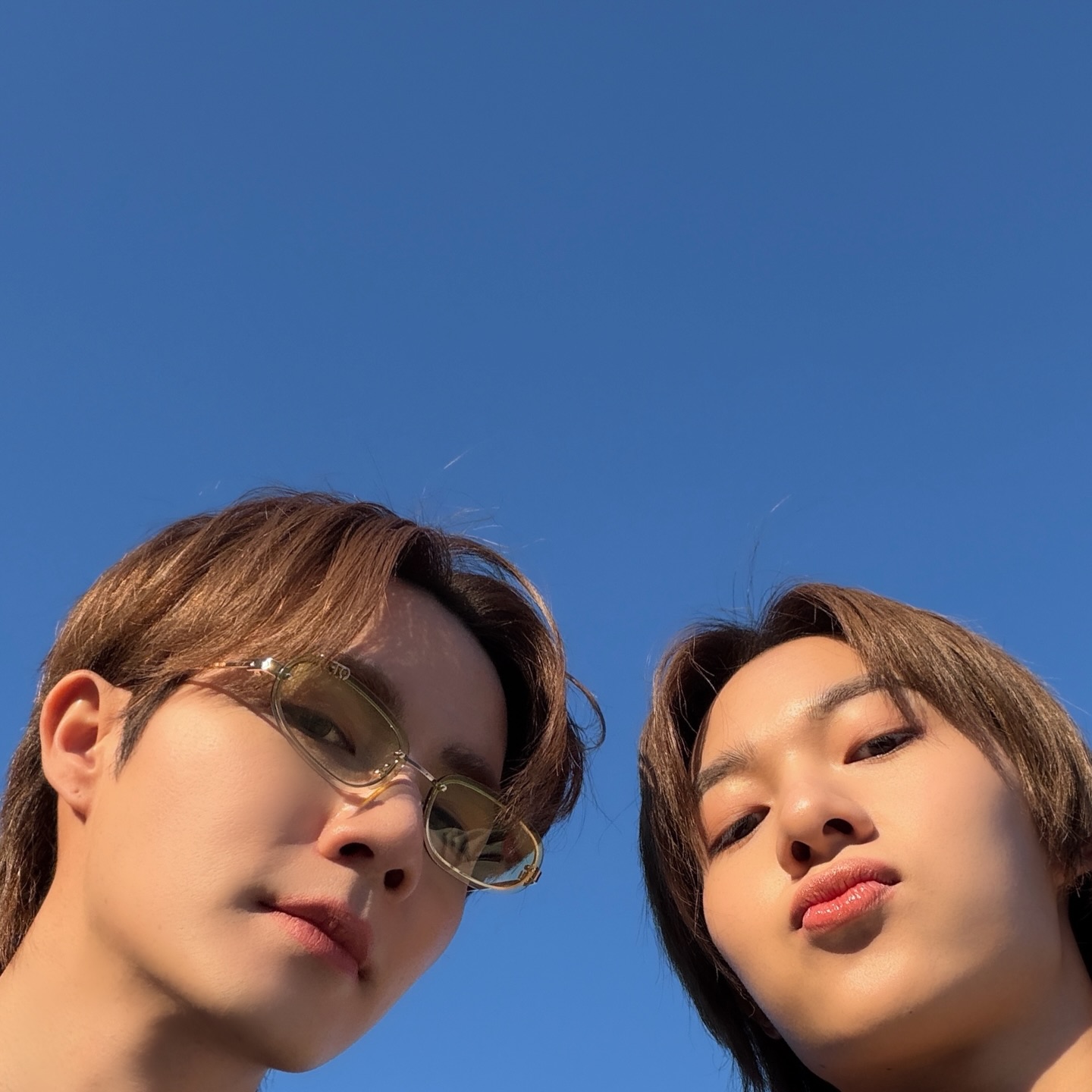 ซี - พฤกษ์ พานิช