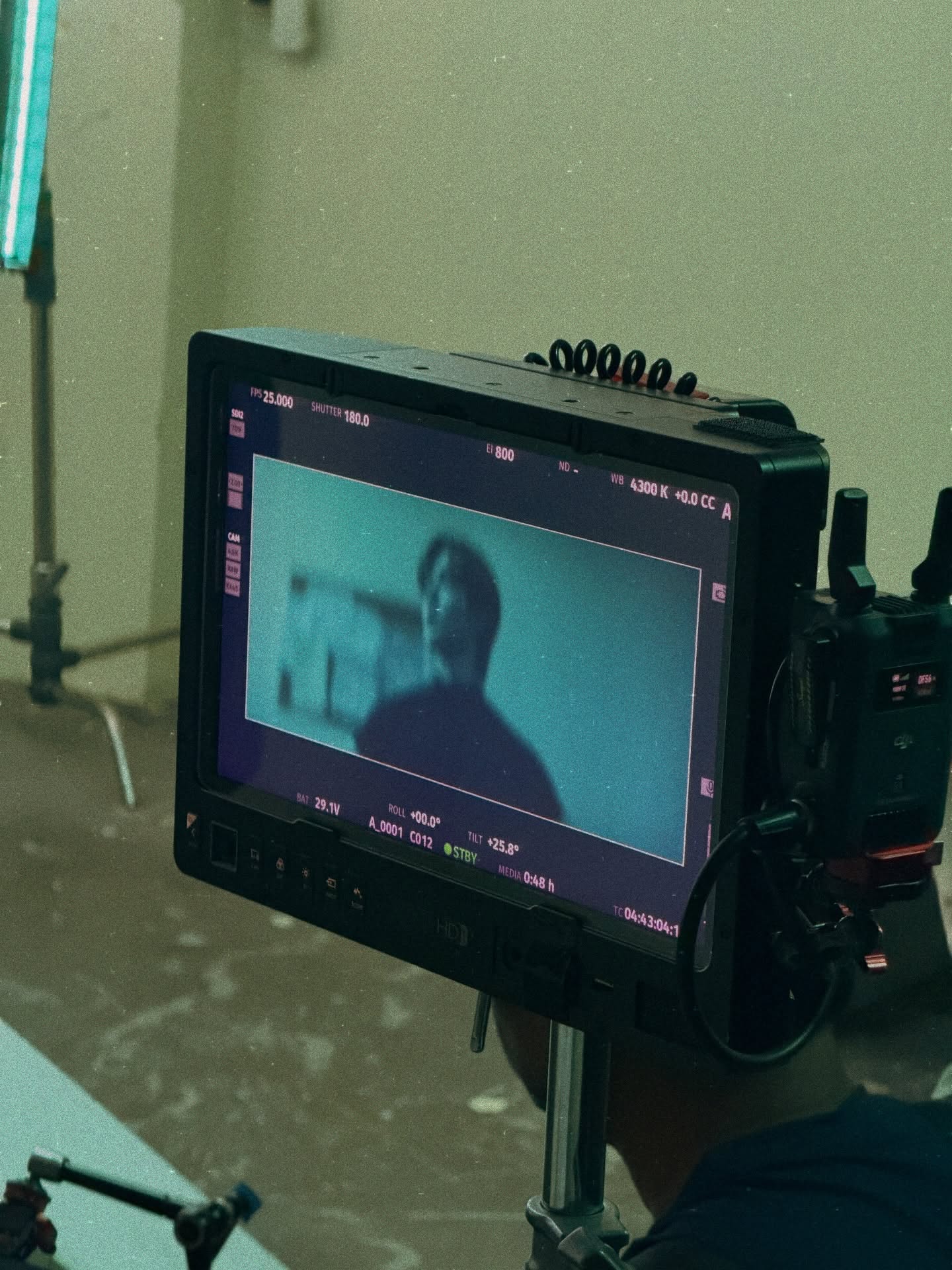 ซี - พฤกษ์ พานิช