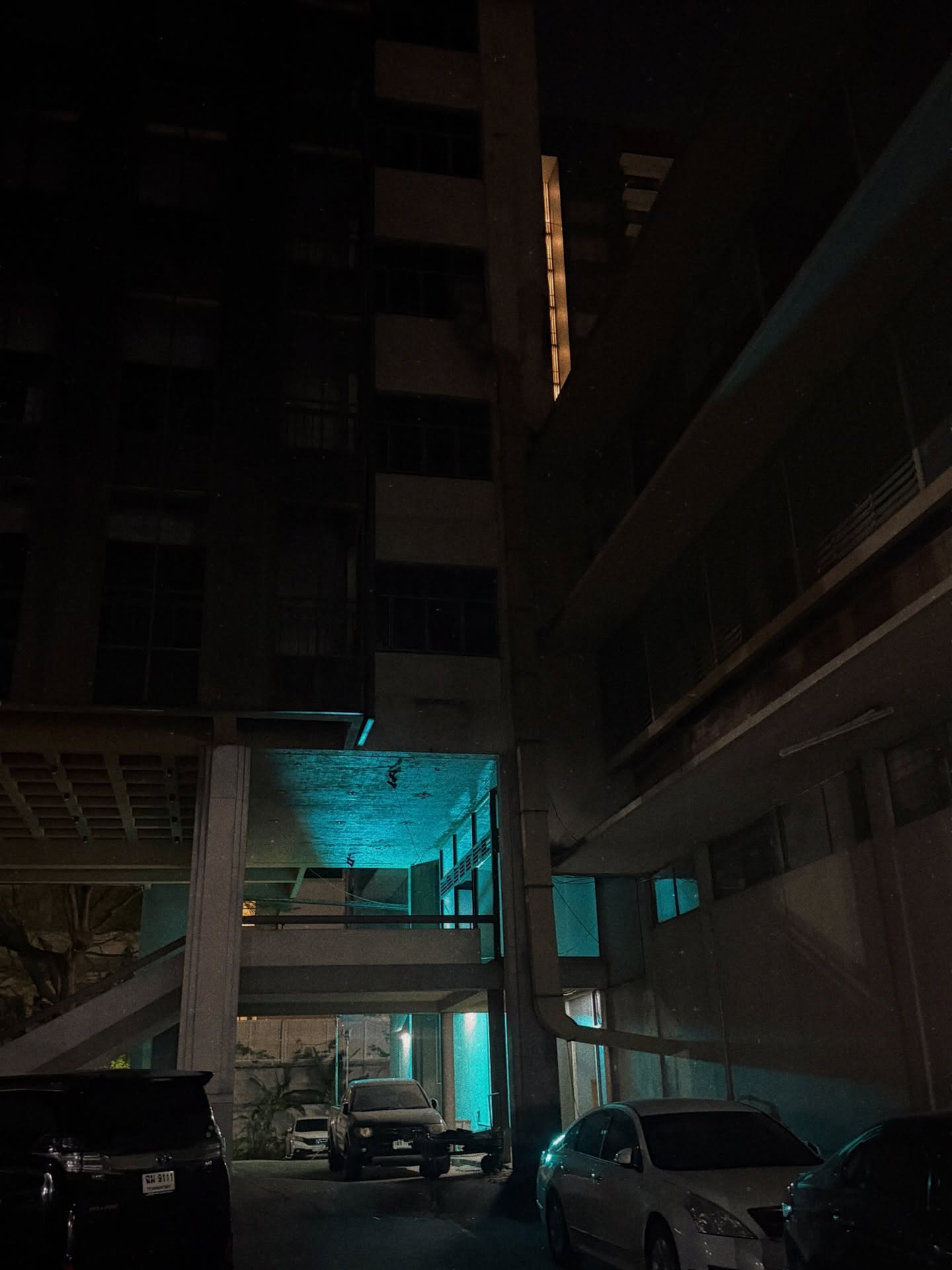 ซี - พฤกษ์ พานิช