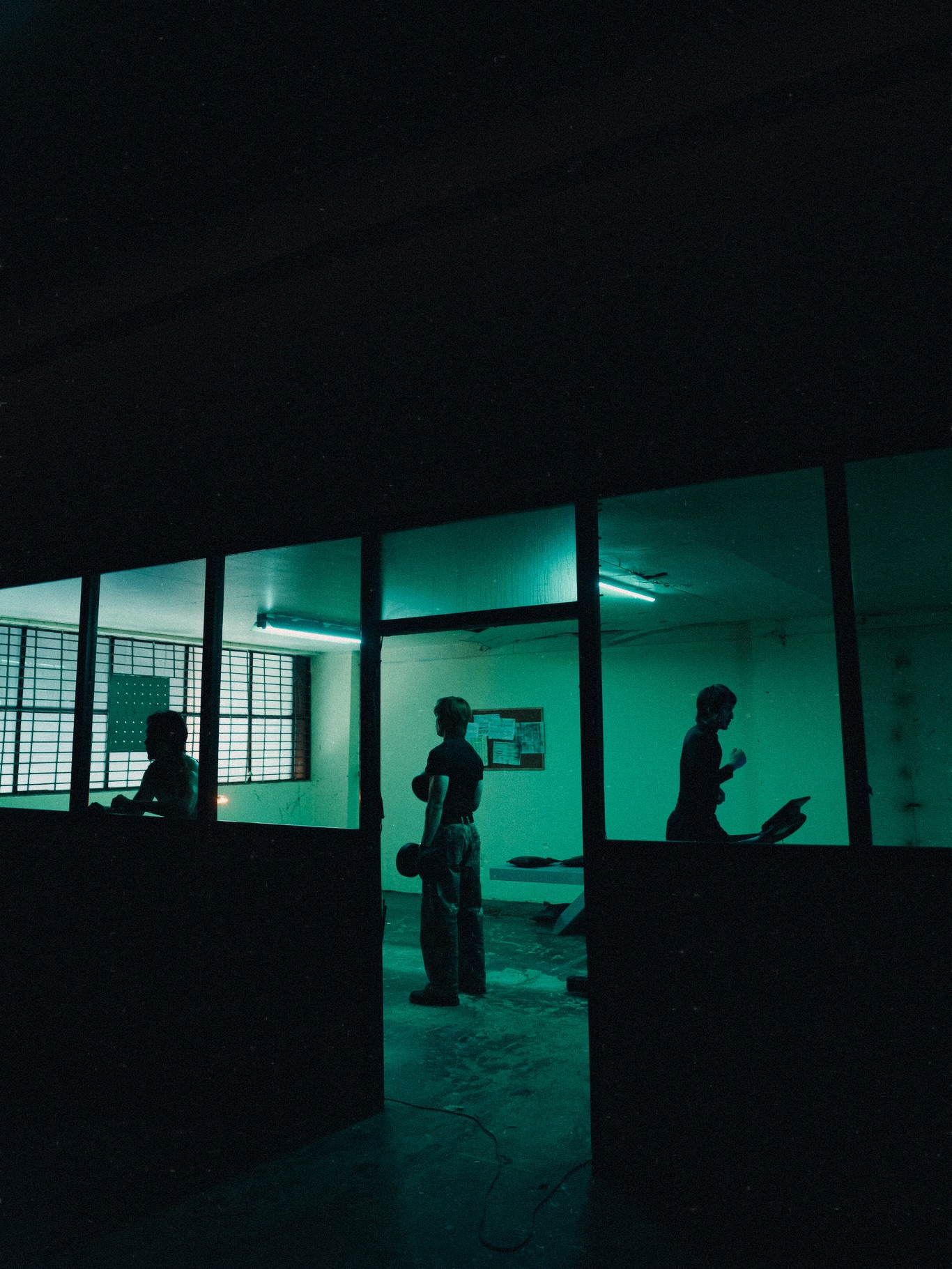 ซี - พฤกษ์ พานิช