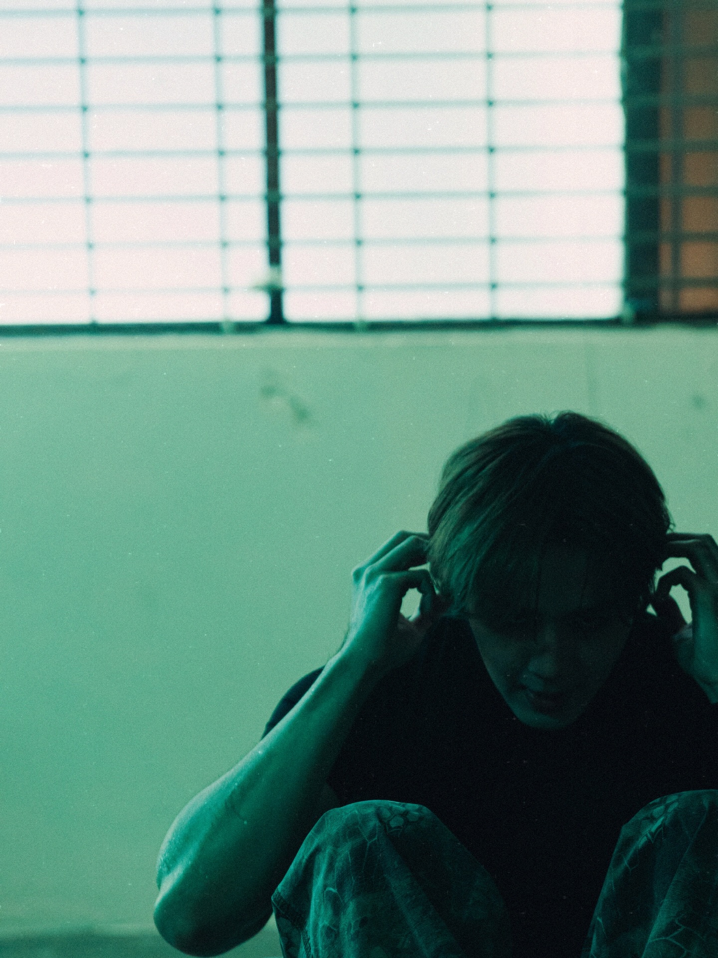 ซี - พฤกษ์ พานิช