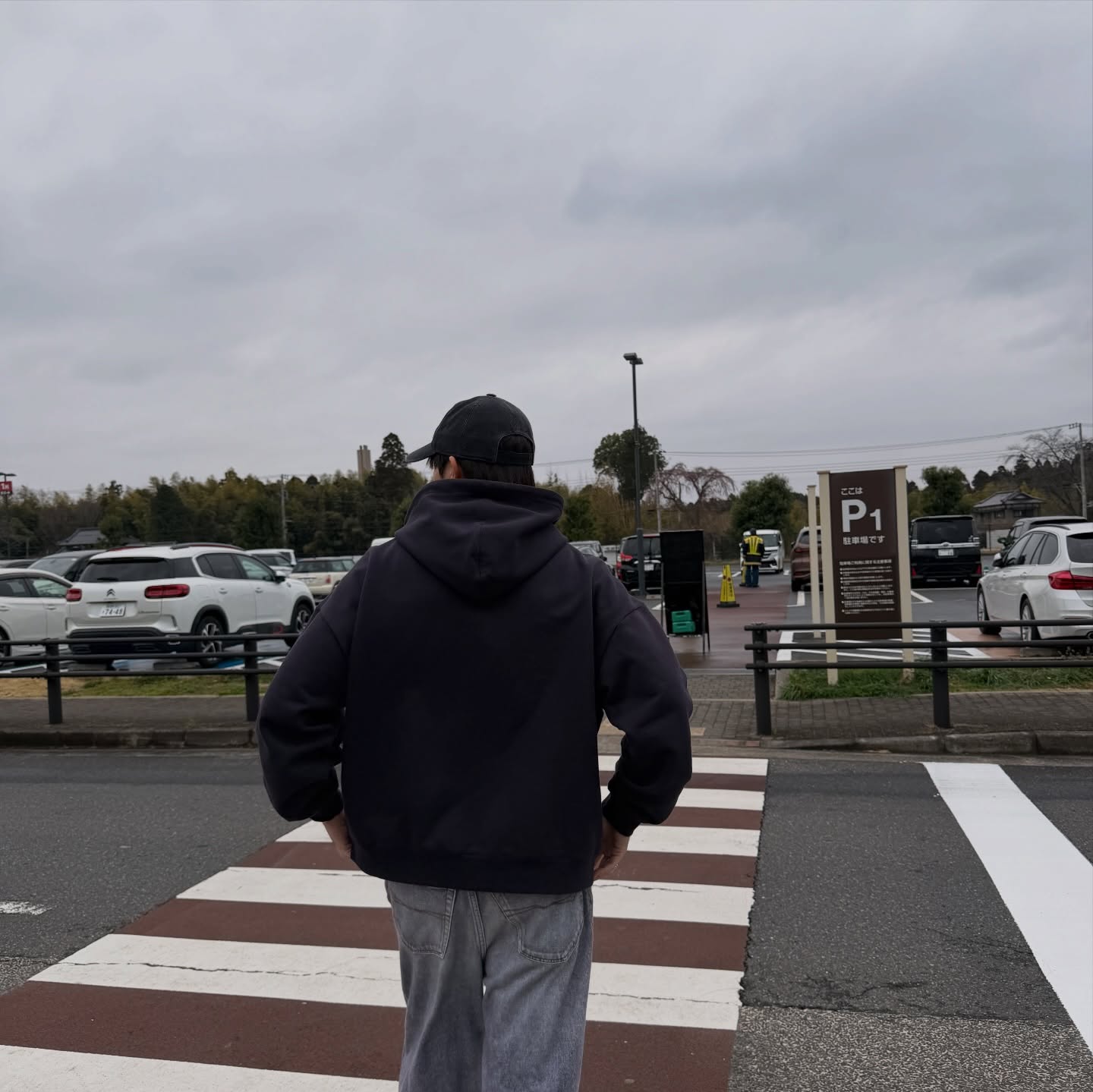 ซี - พฤกษ์ พานิช