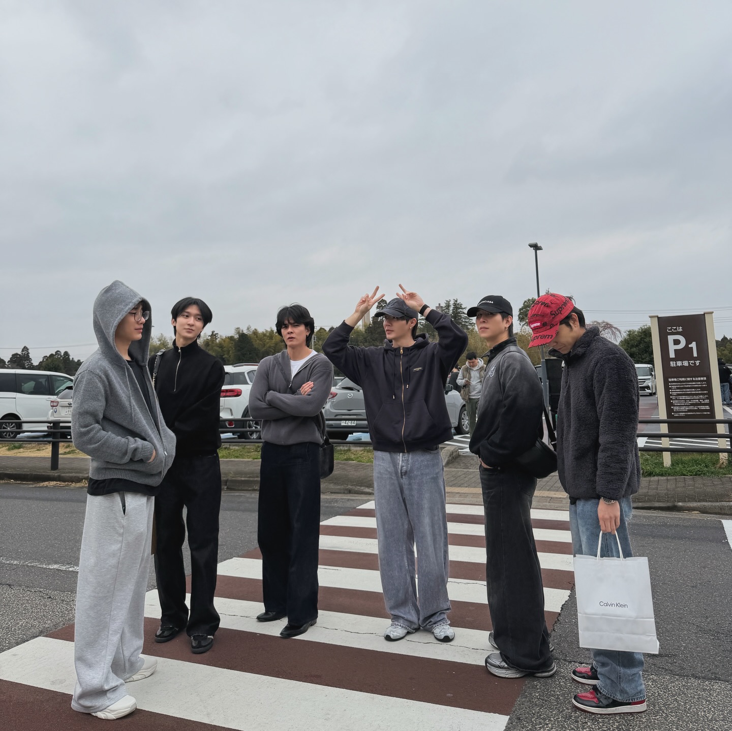 ซี - พฤกษ์ พานิช