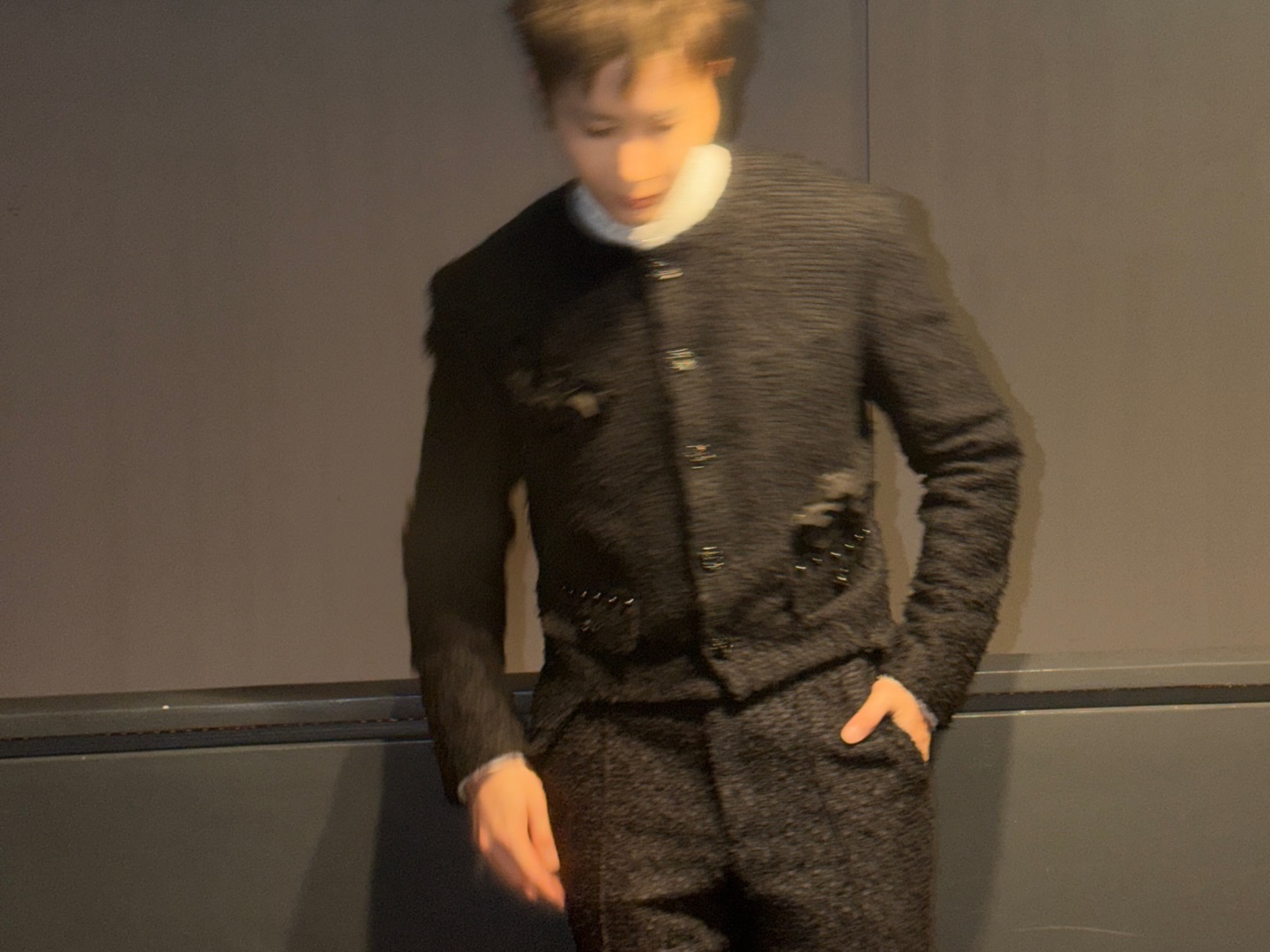 ซี - พฤกษ์ พานิช