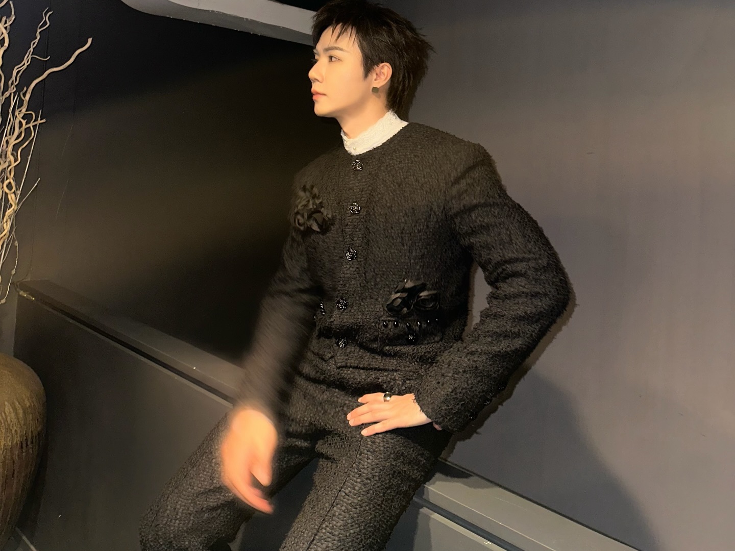 ซี - พฤกษ์ พานิช