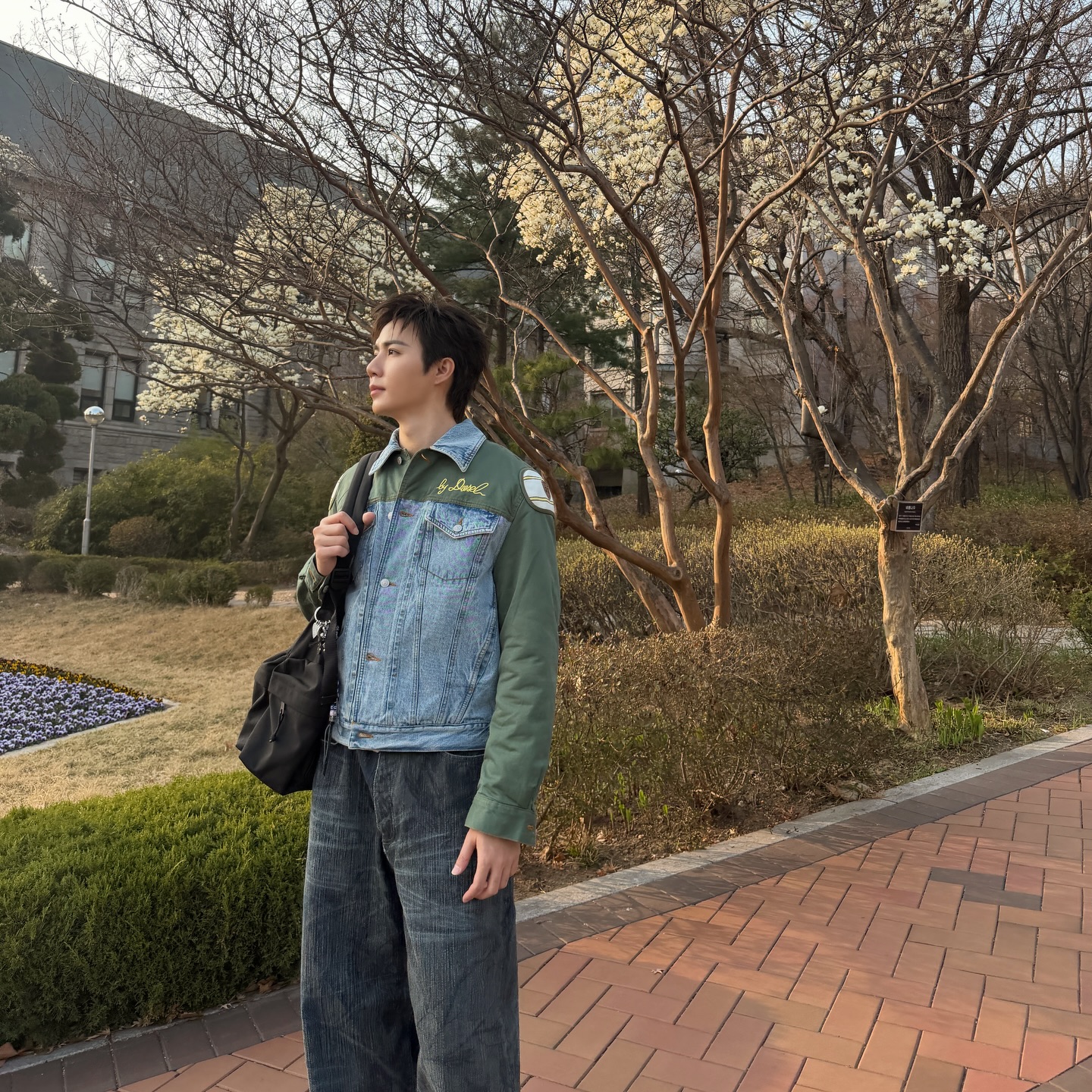 ซี - พฤกษ์ พานิช