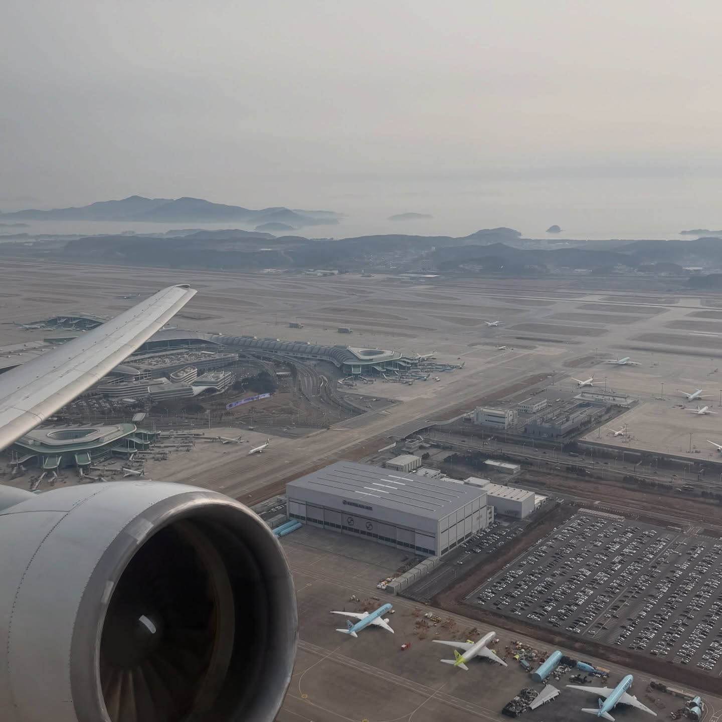 ซี - พฤกษ์ พานิช