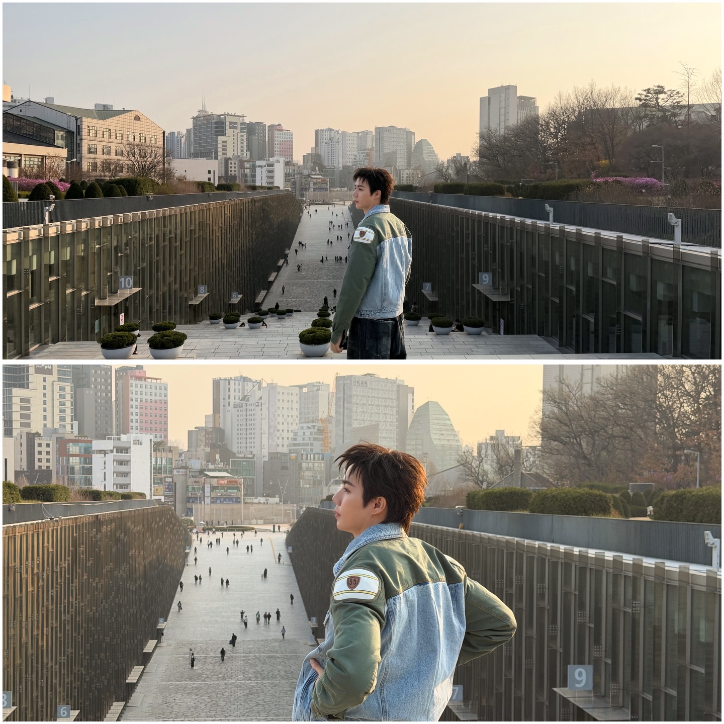 ซี - พฤกษ์ พานิช