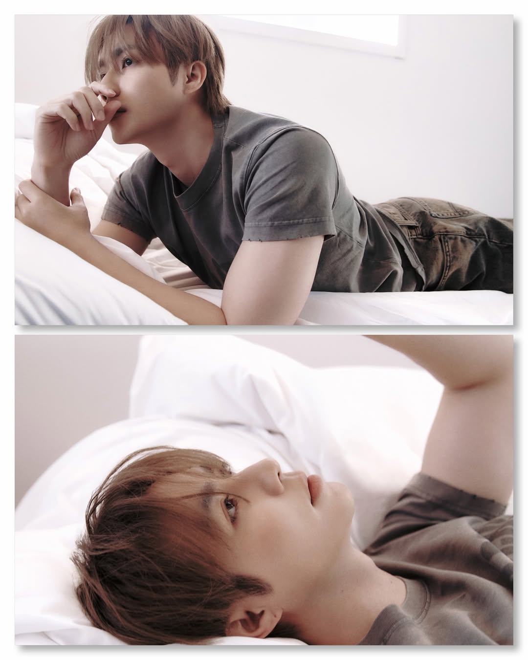 ซี - พฤกษ์ พานิช