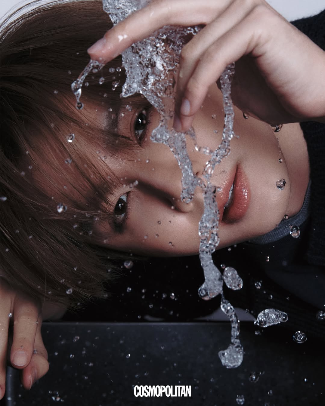 ซี - พฤกษ์ พานิช