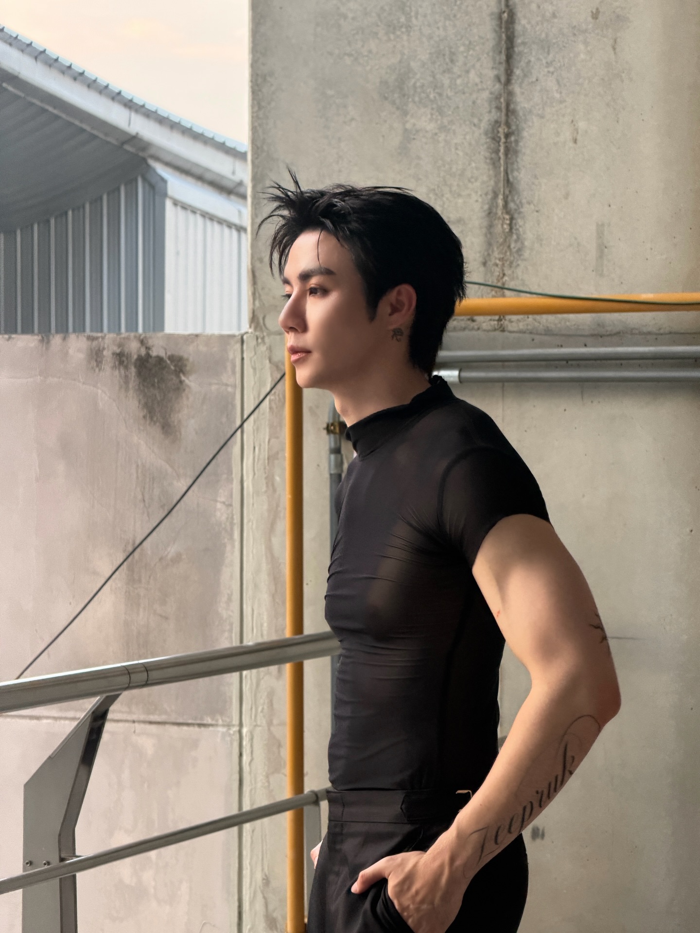 ซี - พฤกษ์ พานิช