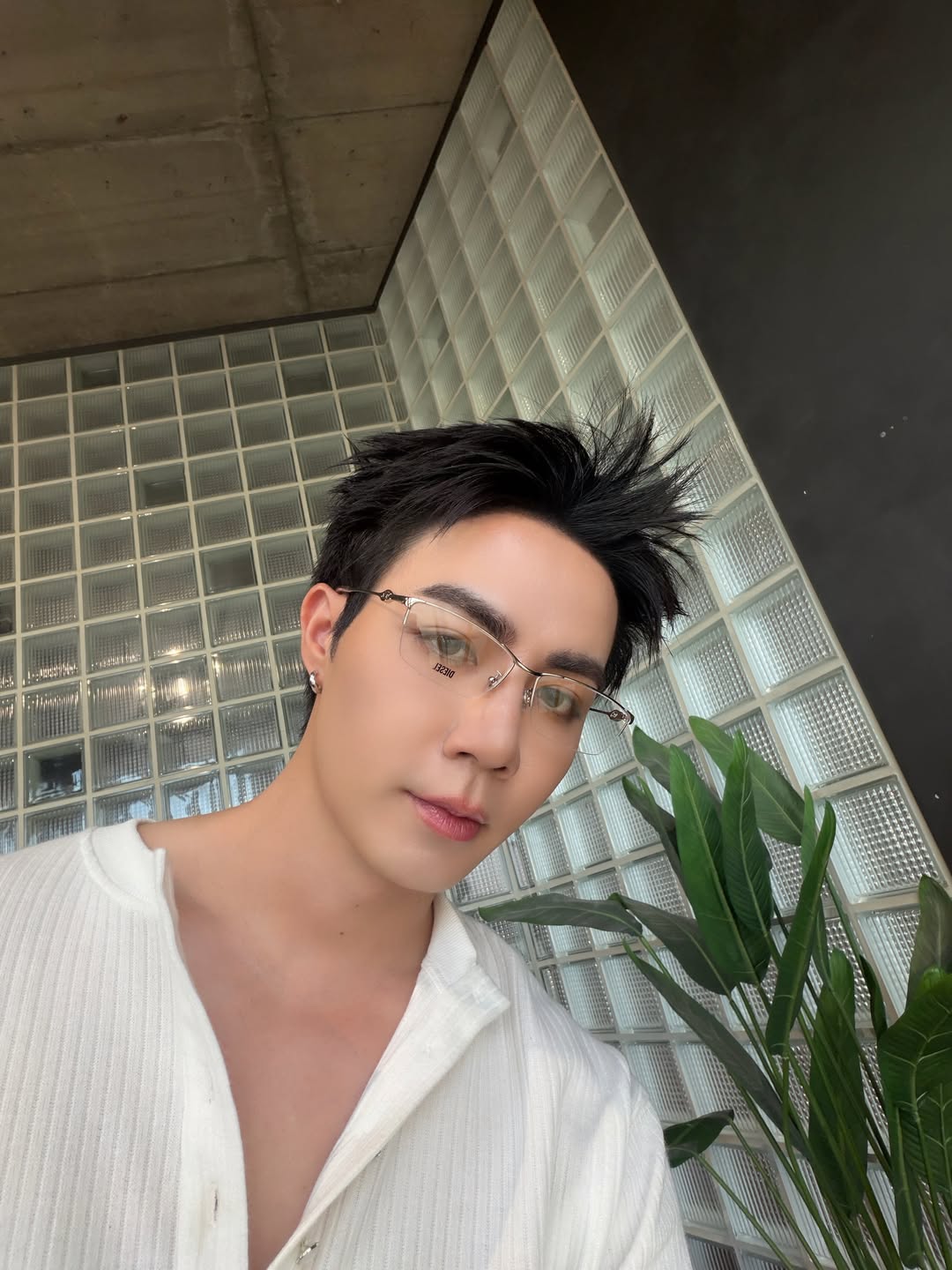 ซี - พฤกษ์ พานิช