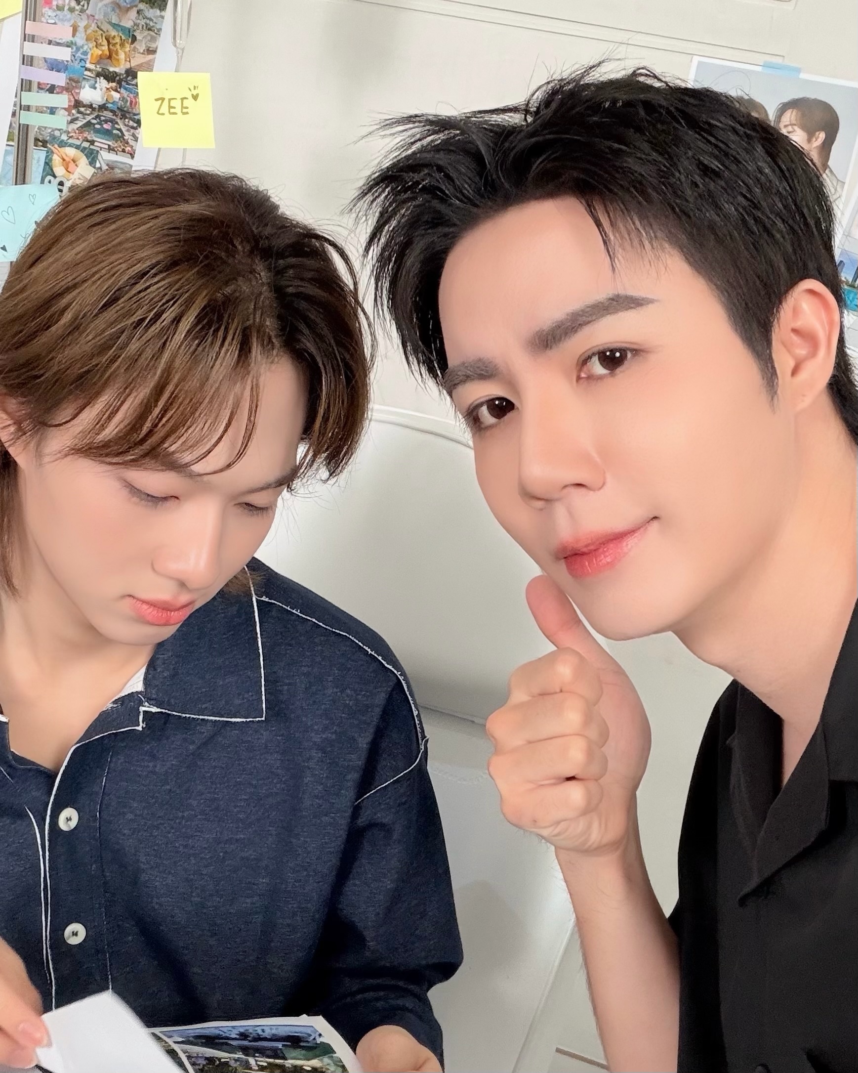 ซี - พฤกษ์ พานิช