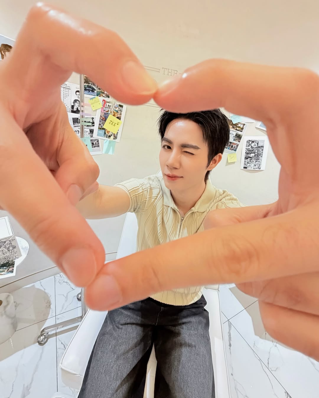 ซี - พฤกษ์ พานิช