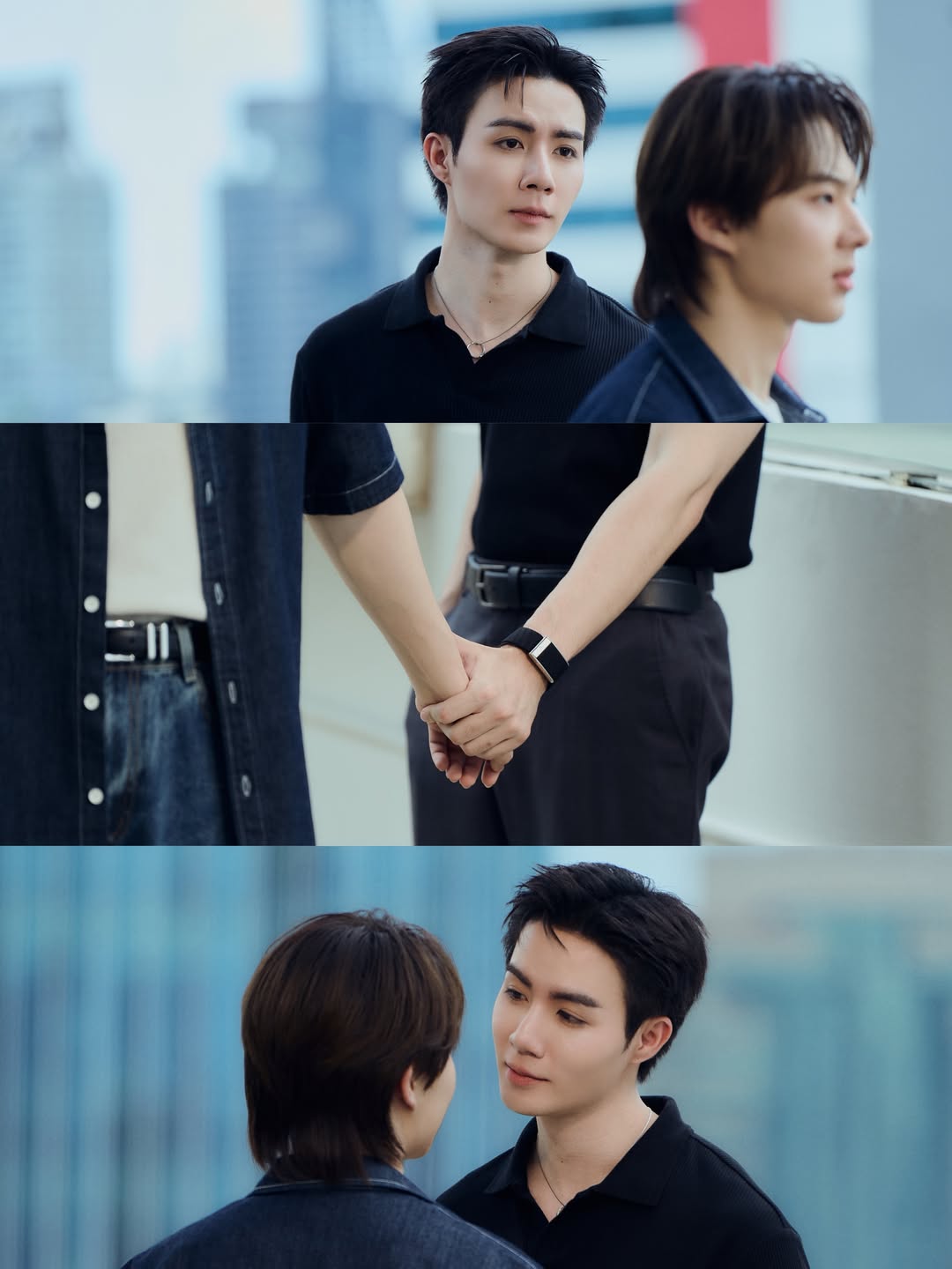 ซี - พฤกษ์ พานิช