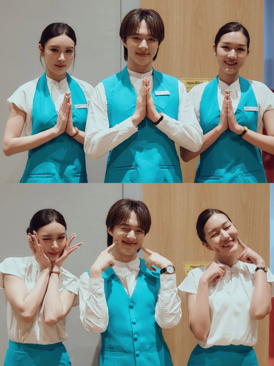 ซี - พฤกษ์ พานิช