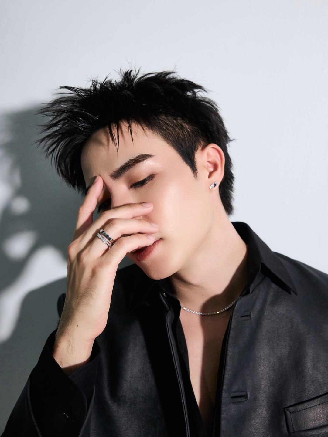 ซี - พฤกษ์ พานิช