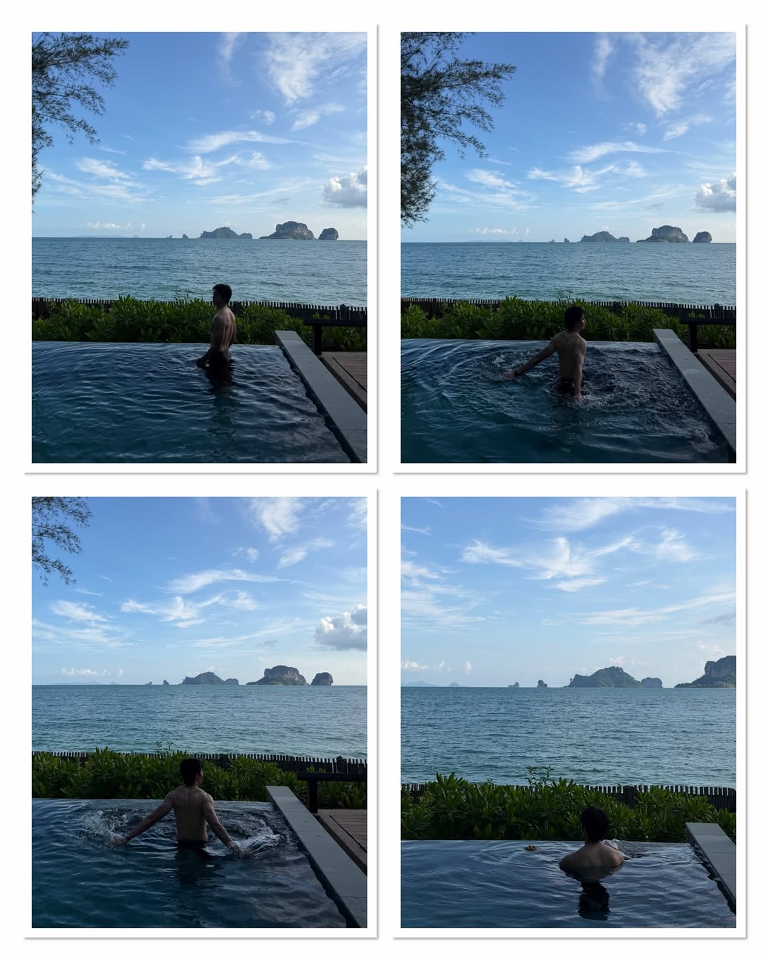 ซี - พฤกษ์ พานิช