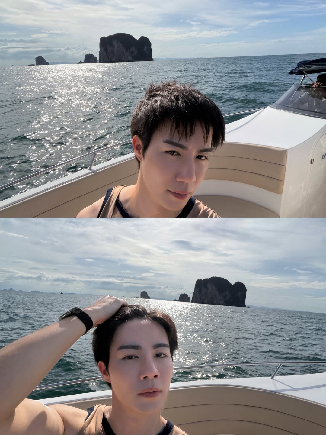 ซี - พฤกษ์ พานิช