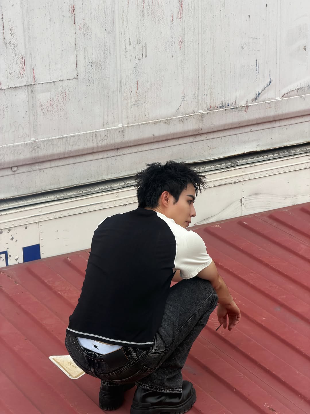 ซี - พฤกษ์ พานิช