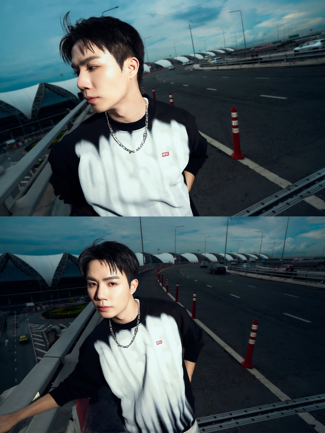 ซี - พฤกษ์ พานิช