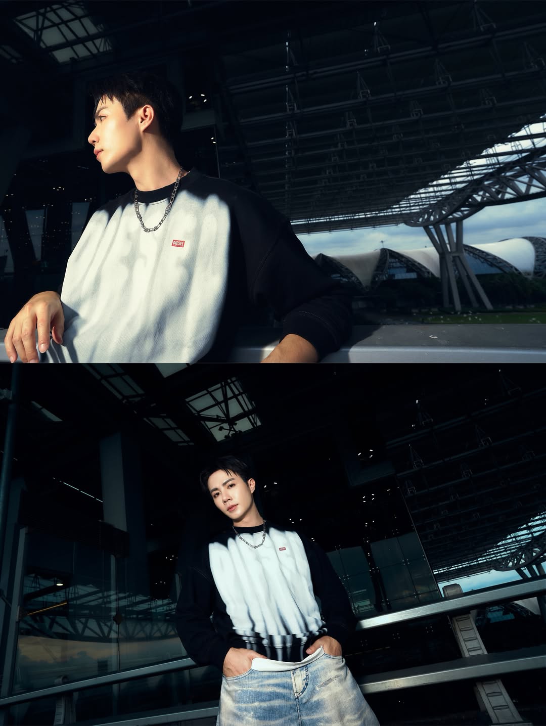 ซี - พฤกษ์ พานิช