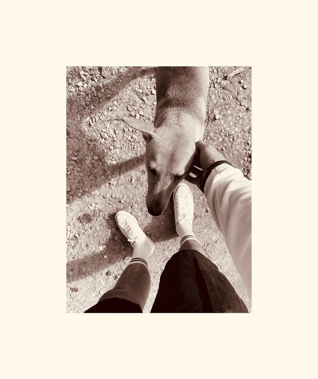 เข้ม -  หัสวีร์ ภัคพงษ์ไพศาล