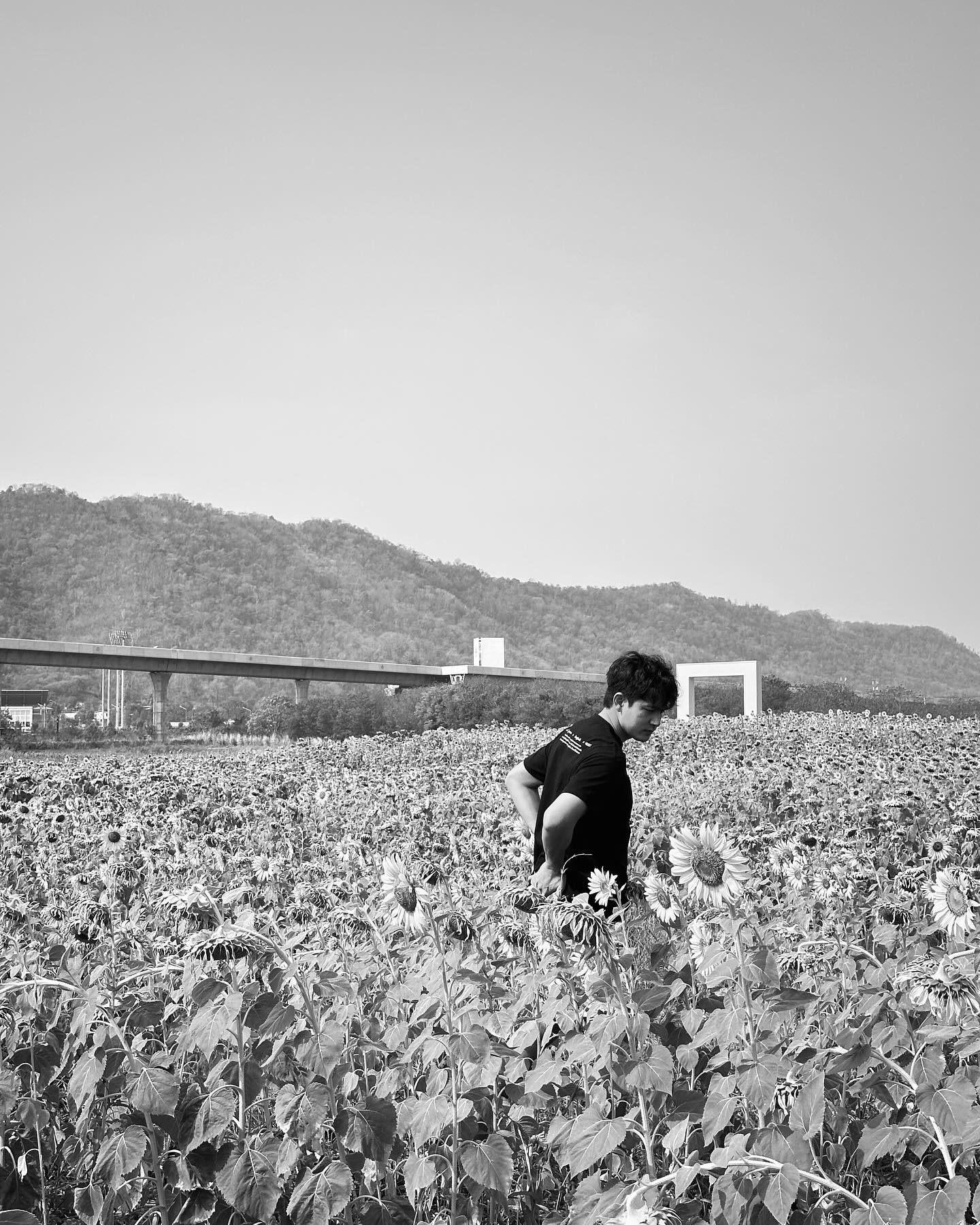 เข้ม -  หัสวีร์ ภัคพงษ์ไพศาล
