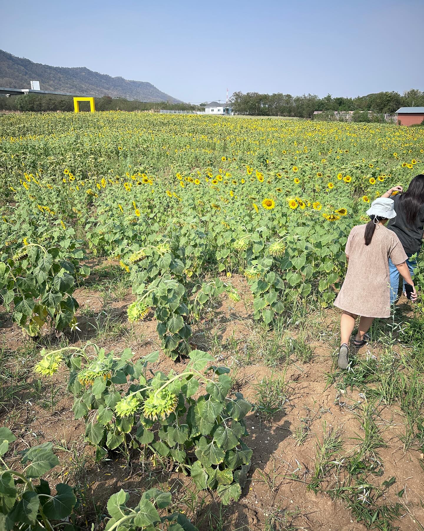 เข้ม -  หัสวีร์ ภัคพงษ์ไพศาล