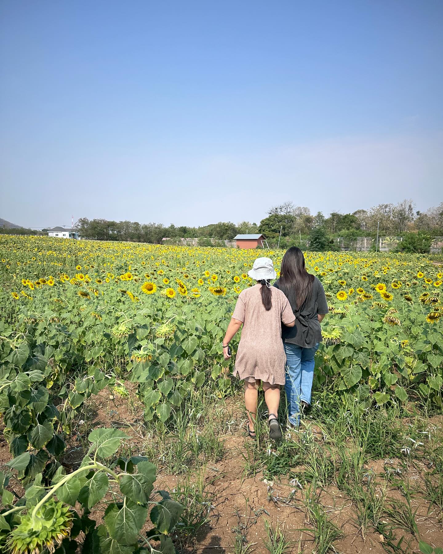 เข้ม -  หัสวีร์ ภัคพงษ์ไพศาล
