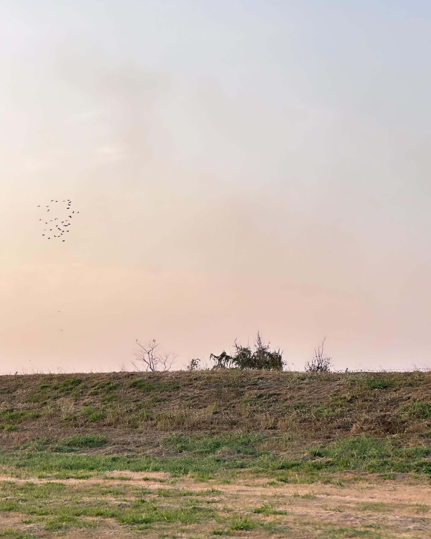 เข้ม -  หัสวีร์ ภัคพงษ์ไพศาล
