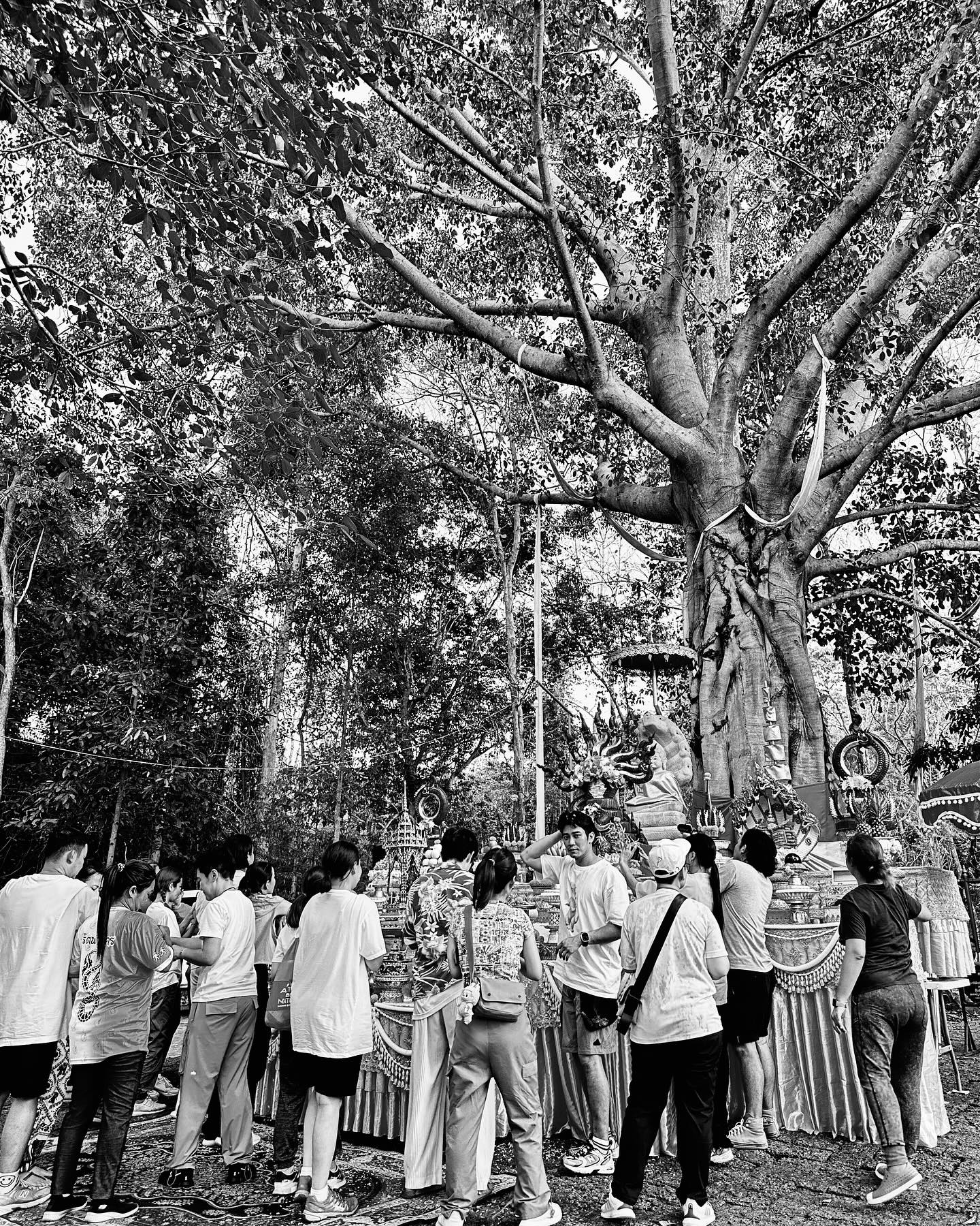 เข้ม -  หัสวีร์ ภัคพงษ์ไพศาล