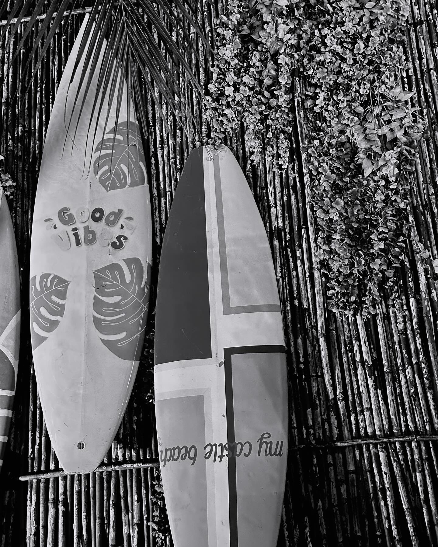 เข้ม -  หัสวีร์ ภัคพงษ์ไพศาล