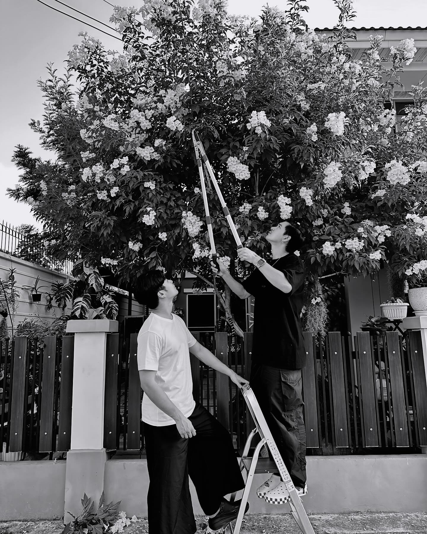 เข้ม -  หัสวีร์ ภัคพงษ์ไพศาล