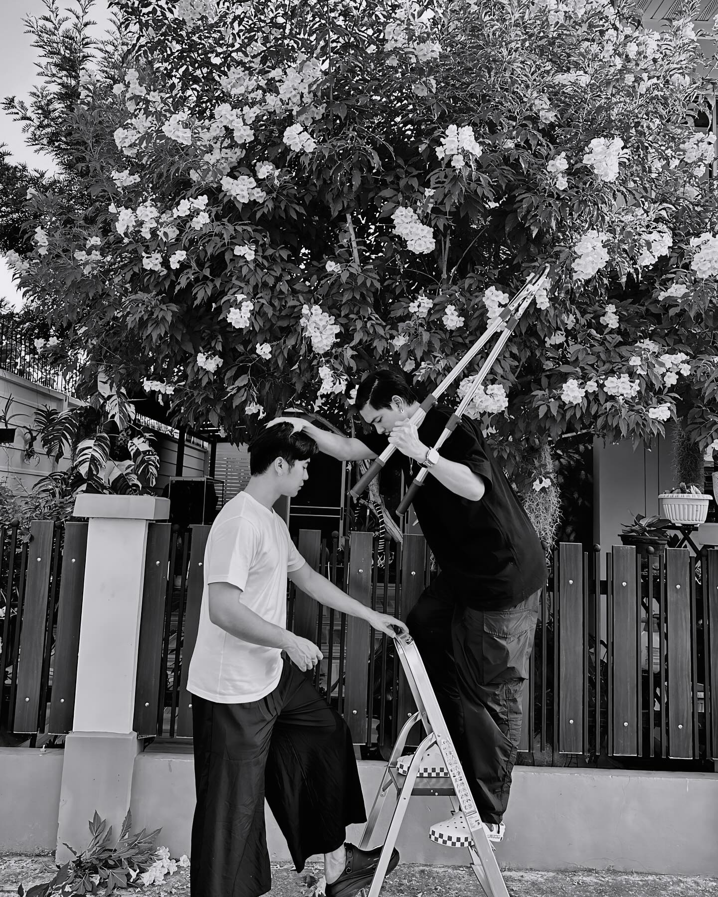 เข้ม -  หัสวีร์ ภัคพงษ์ไพศาล