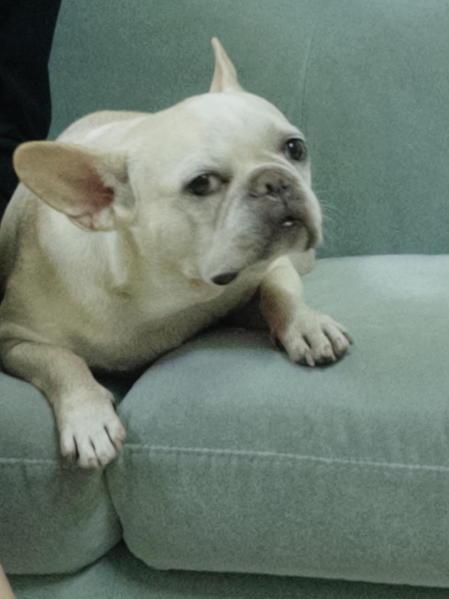 เข้ม -  หัสวีร์ ภัคพงษ์ไพศาล