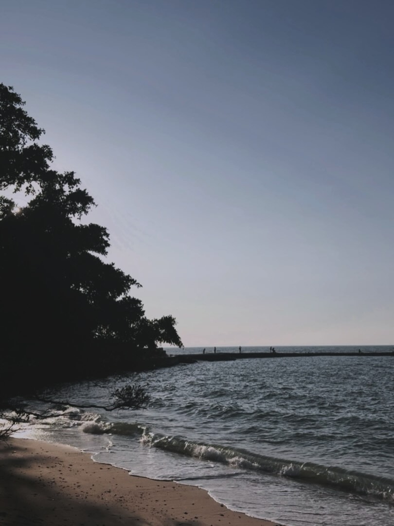 เข้ม -  หัสวีร์ ภัคพงษ์ไพศาล