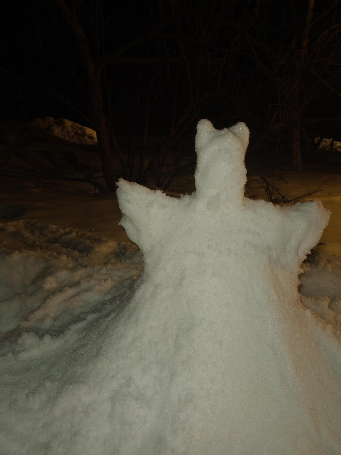 เข้ม -  หัสวีร์ ภัคพงษ์ไพศาล