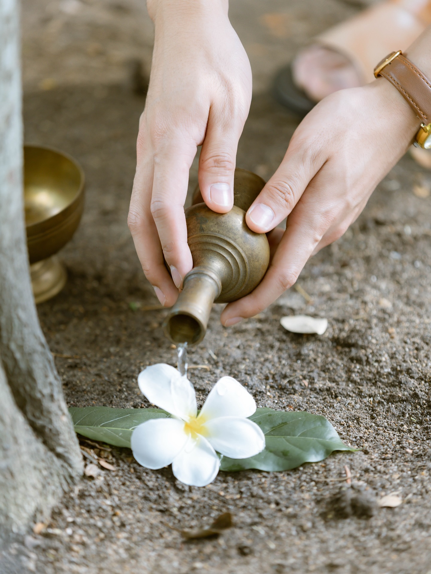 บิลลี่ - ภัทรชนน อ่อนสอาด