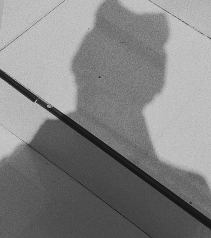 บิลลี่ - ภัทรชนน อ่อนสอาด