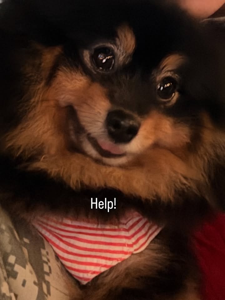 บิลลี่ - ภัทรชนน อ่อนสอาด